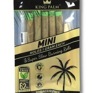 King Palm Australia
