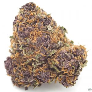 Purple Kush Australia